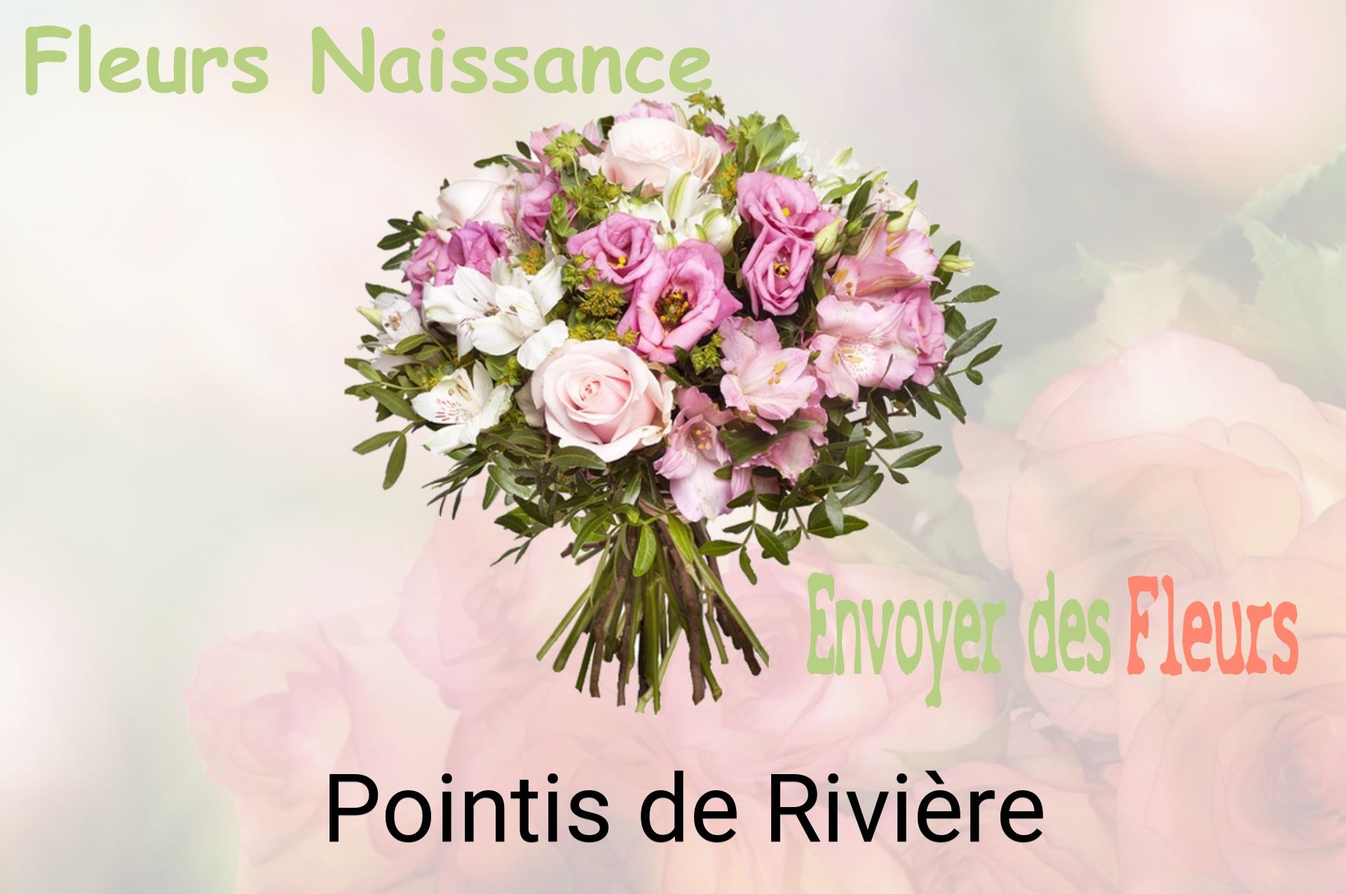 Bouquet de fleurs de naissance livré à Pointis-de-Rivière