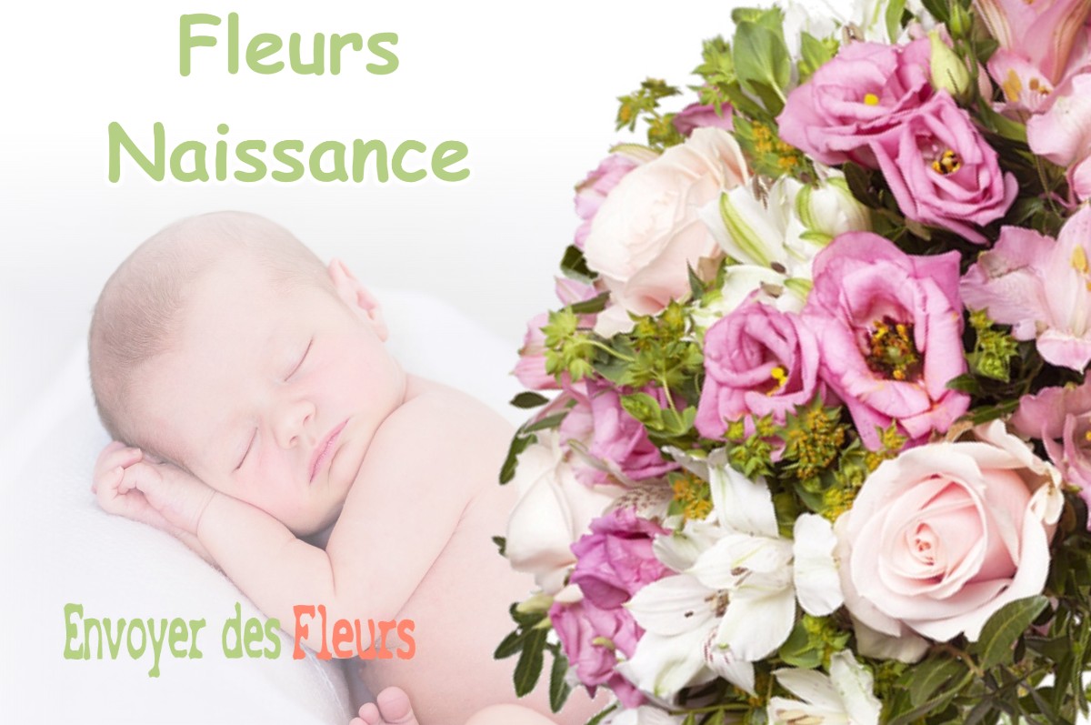 lIVRAISON FLEURS NAISSANCE à POINTIS-DE-RIVIERE